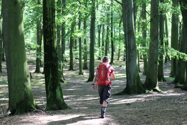 Person running with a bag full of supplies